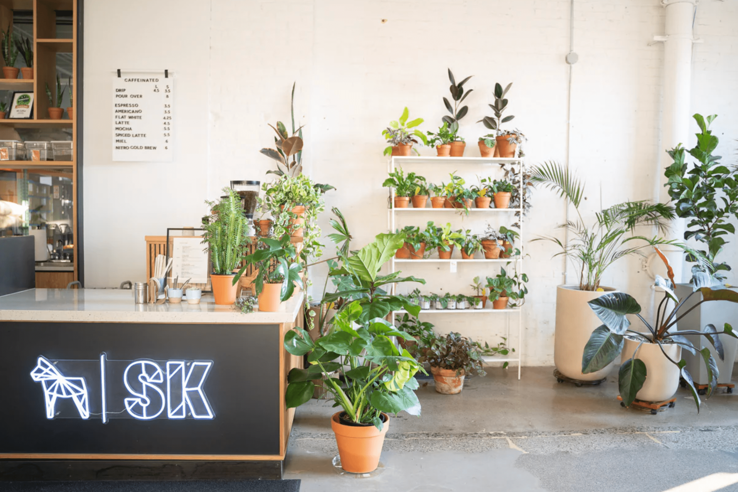 Apricot Floral Design**